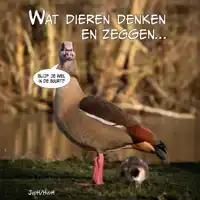 WAT DIEREN DENKEN EN ZEGGEN