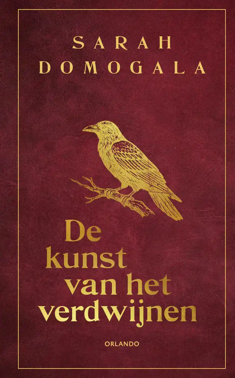DE KUNST VAN HET VERDWIJNEN