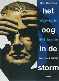 HET OOG IN DE STORM