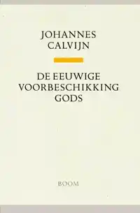 DE EEUWIGE VOORBESCHIKKING GODS