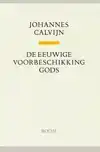 DE EEUWIGE VOORBESCHIKKING GODS