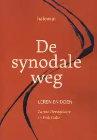 DE SYNODALE WEG