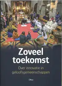 ZOVEEL TOEKOMST