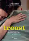 DE KLEINE GOEDHEID: TROOST