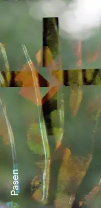 GEBEDSKAART PASEN 2025 PAKKET 25 EX