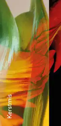 GEBEDSKAART KERSTMIS 2026 PAKKET 25 EX