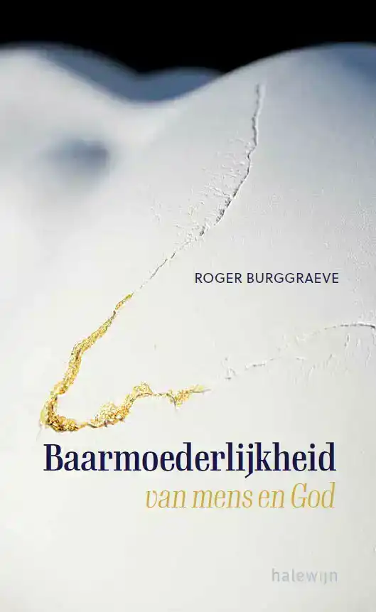 BAARMOEDERLIJKHEID VAN MENS EN GOD VANUIT HET VERHAAL VAN DE