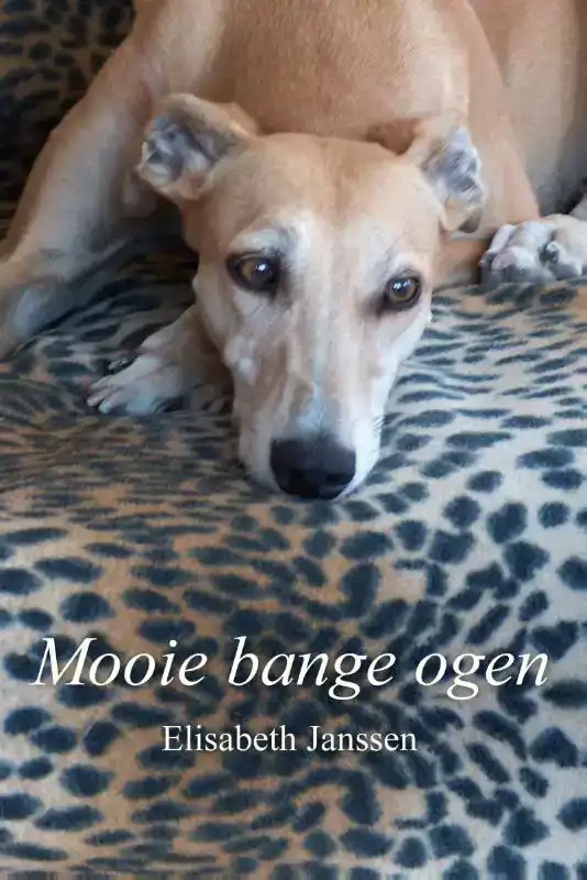 MOOIE BANGE OGEN