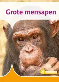 GROTE MENSAPEN