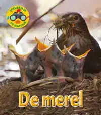 DE MEREL