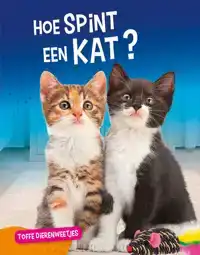 HOE SPINT EEN KAT?