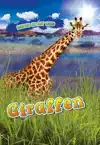 GIRAFFEN