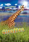 GIRAFFEN