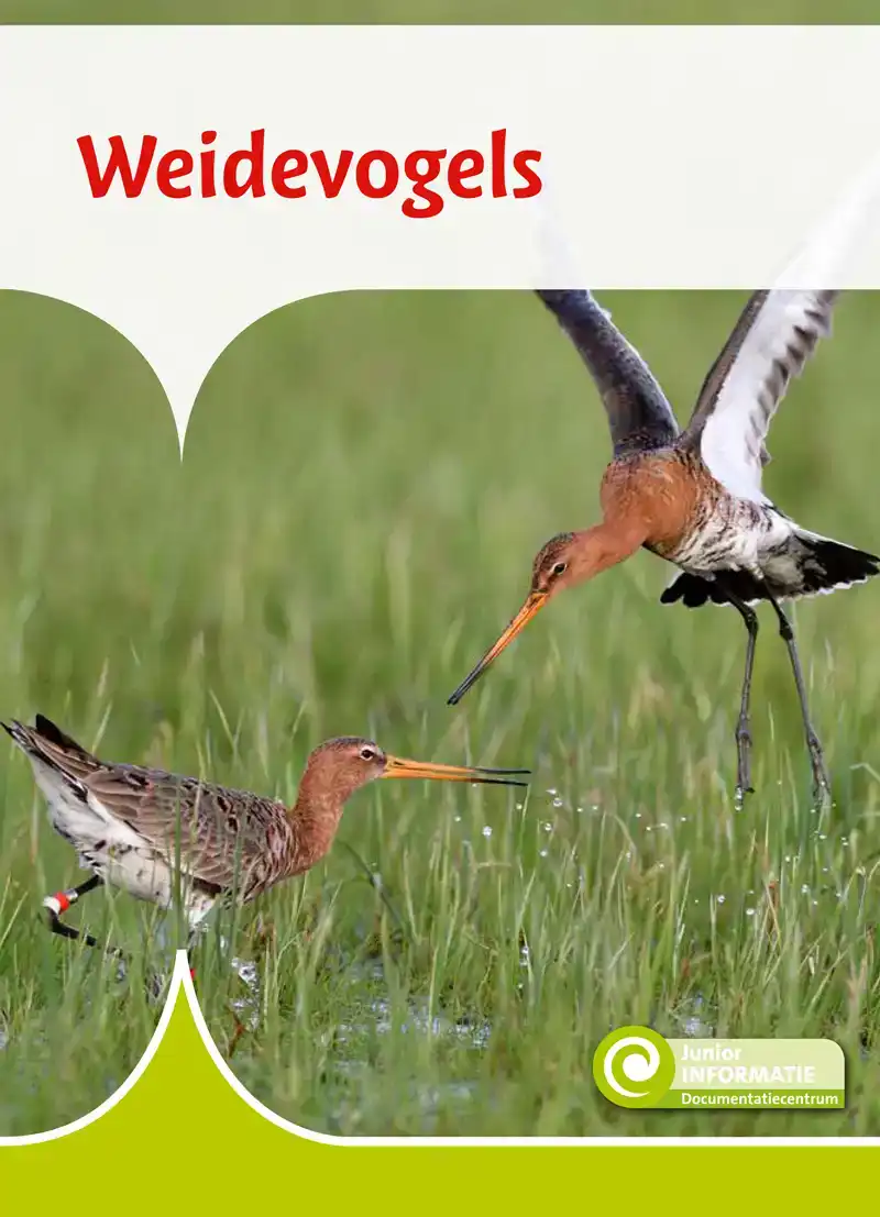 WEIDEVOGELS