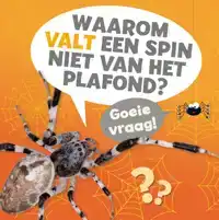 WAAROM VALT EEN SPIN NIET VAN HET PLAFOND?