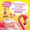 WAAROM IS EEN FLAMINGO ROZE?