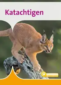 KATACHTIGEN