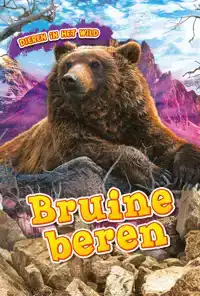 BRUINE BEREN