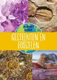 GESTEENTEN EN FOSSIELEN