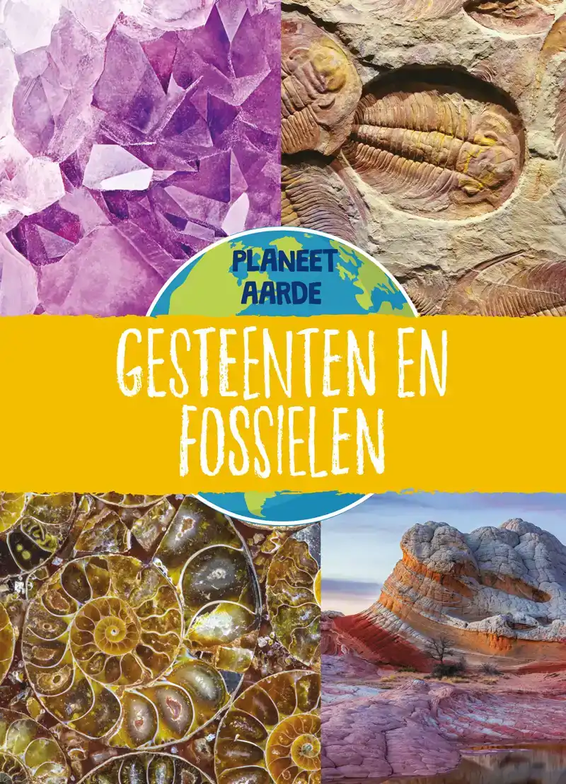 GESTEENTEN EN FOSSIELEN