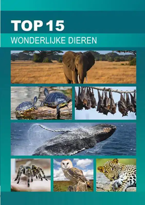 WONDERLIJKE DIEREN