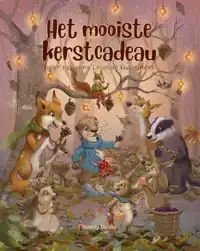 HET MOOISTE KERSTCADEAU