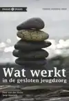 WAT WERKT