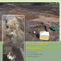 PRINS ONDER PLAGGEN