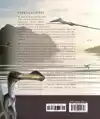 PTEROSAURIERS