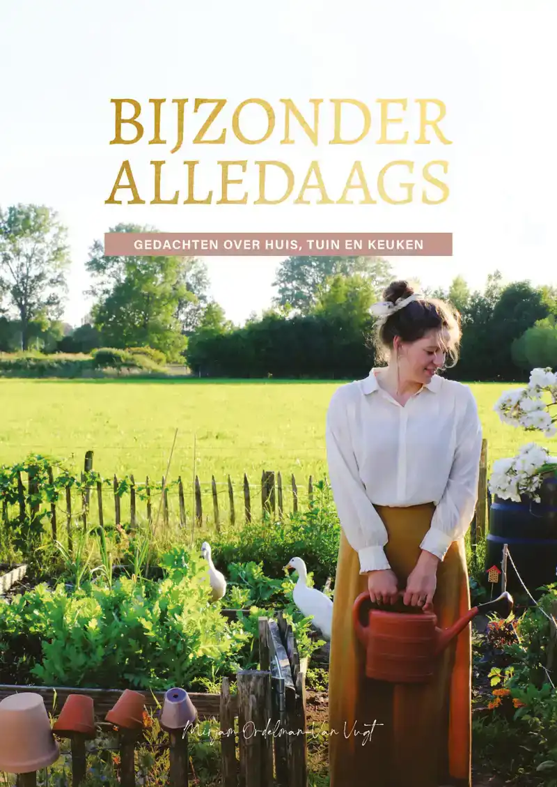 BIJZONDER ALLEDAAGS