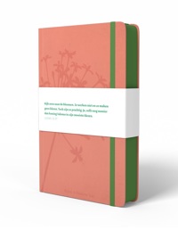 BGT COMPACT ROZE