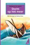 STORM OP HET MEER
