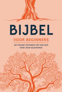 BIJBEL VOOR BEGINNERS