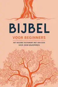 BIJBEL VOOR BEGINNERS