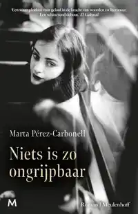 NIETS IS ZO ONGRIJPBAAR