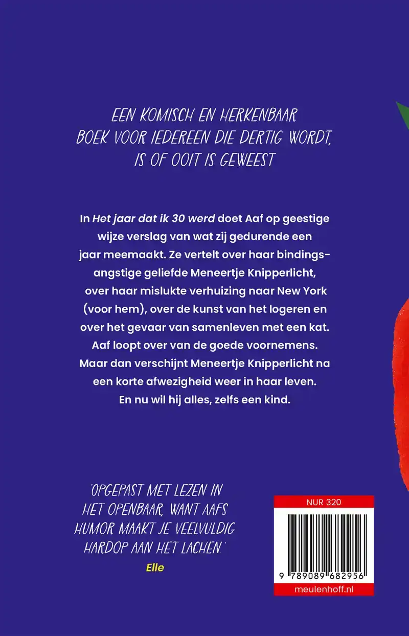 HET JAAR DAT IK 30 WERD