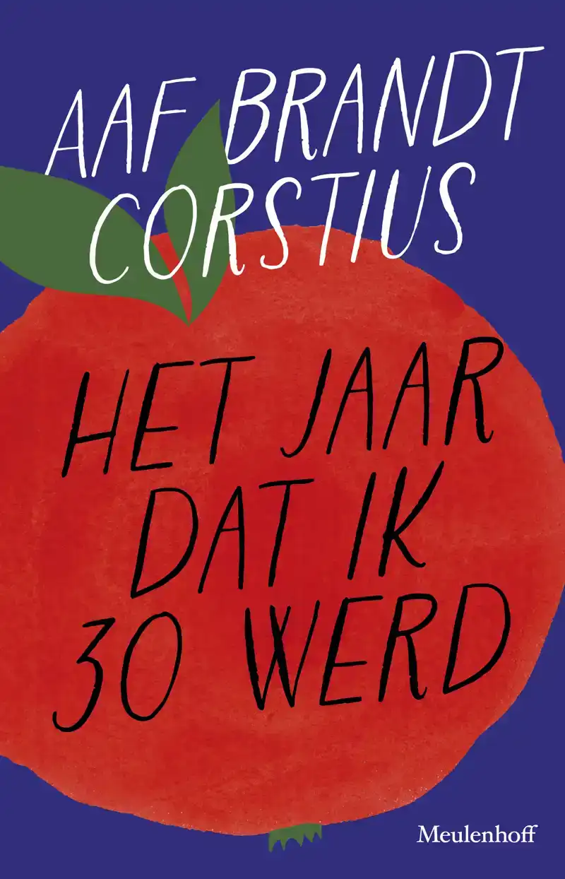 HET JAAR DAT IK 30 WERD