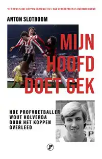 MIJN HOOFD DOET GEK
