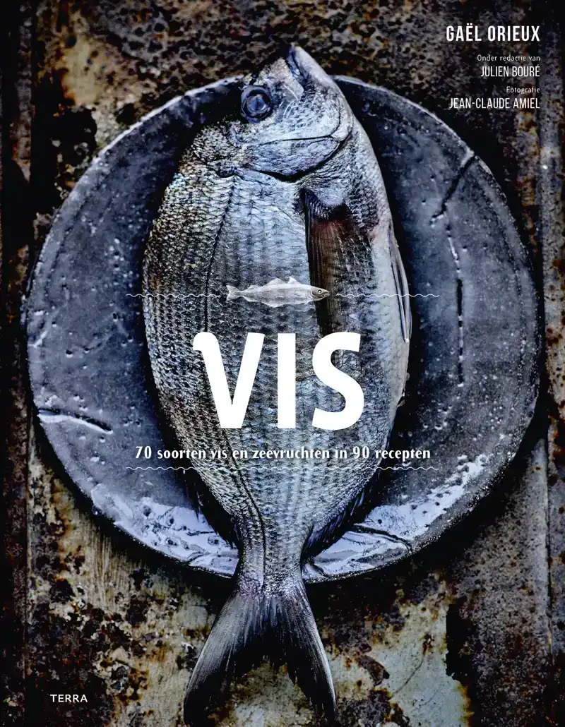 VIS