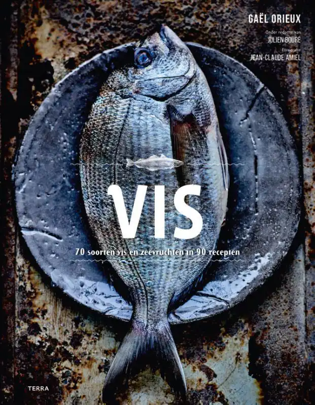VIS