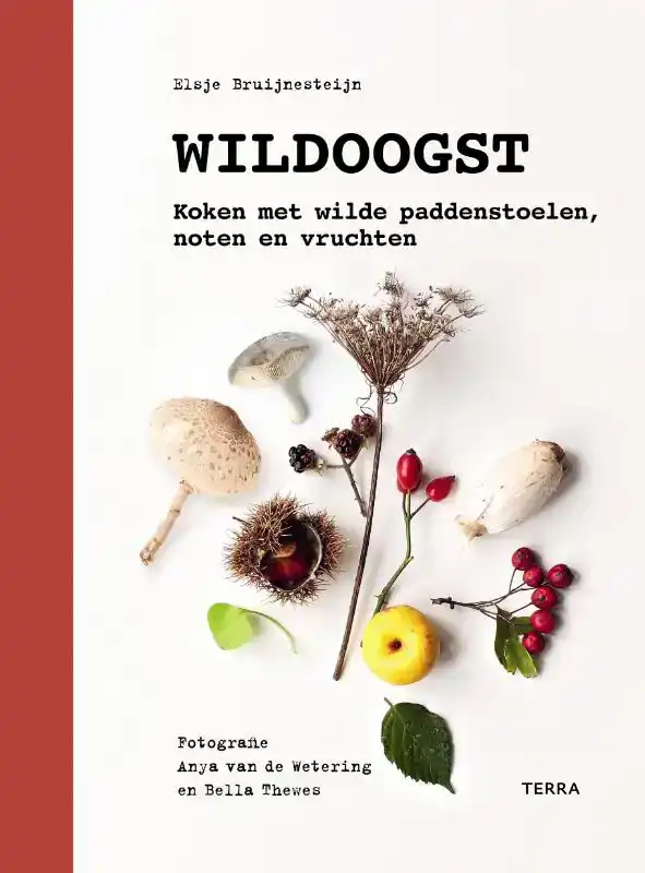 WILDOOGST