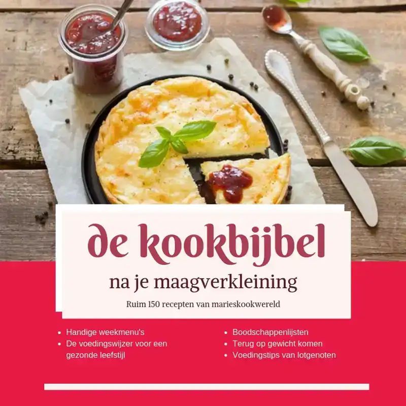 DE KOOKBIJBEL NA JE MAAGVERKLEINING
