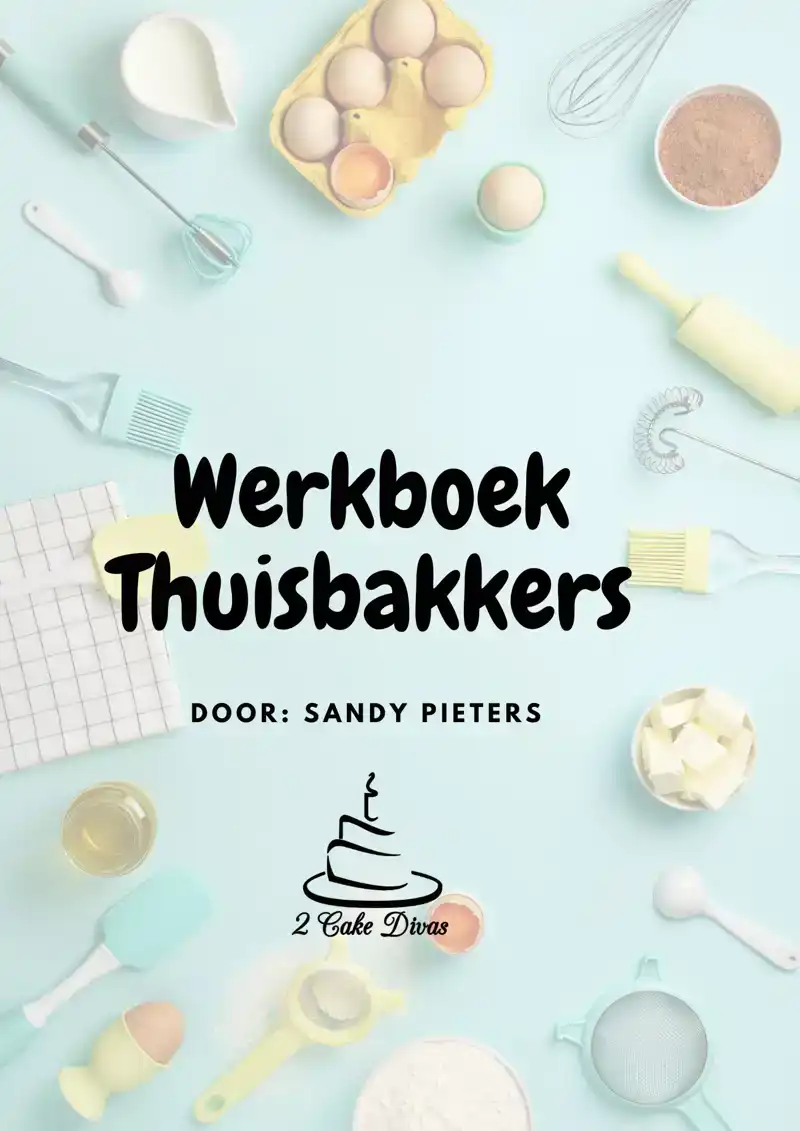 WERKBOEK THUISBAKKERS