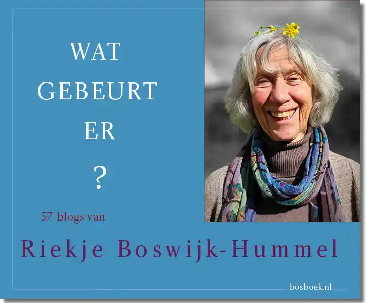 WAT GEBEURT ER?