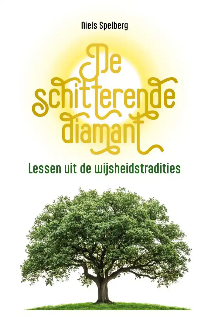 DE SCHITTERENDE DIAMANT