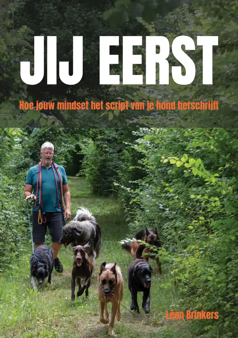 JIJ EERST