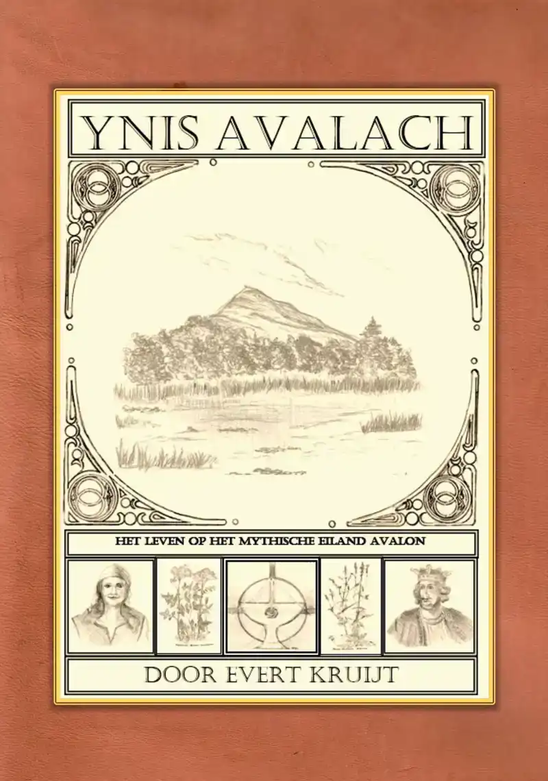YNIS AVALACH