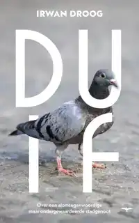 DUIF