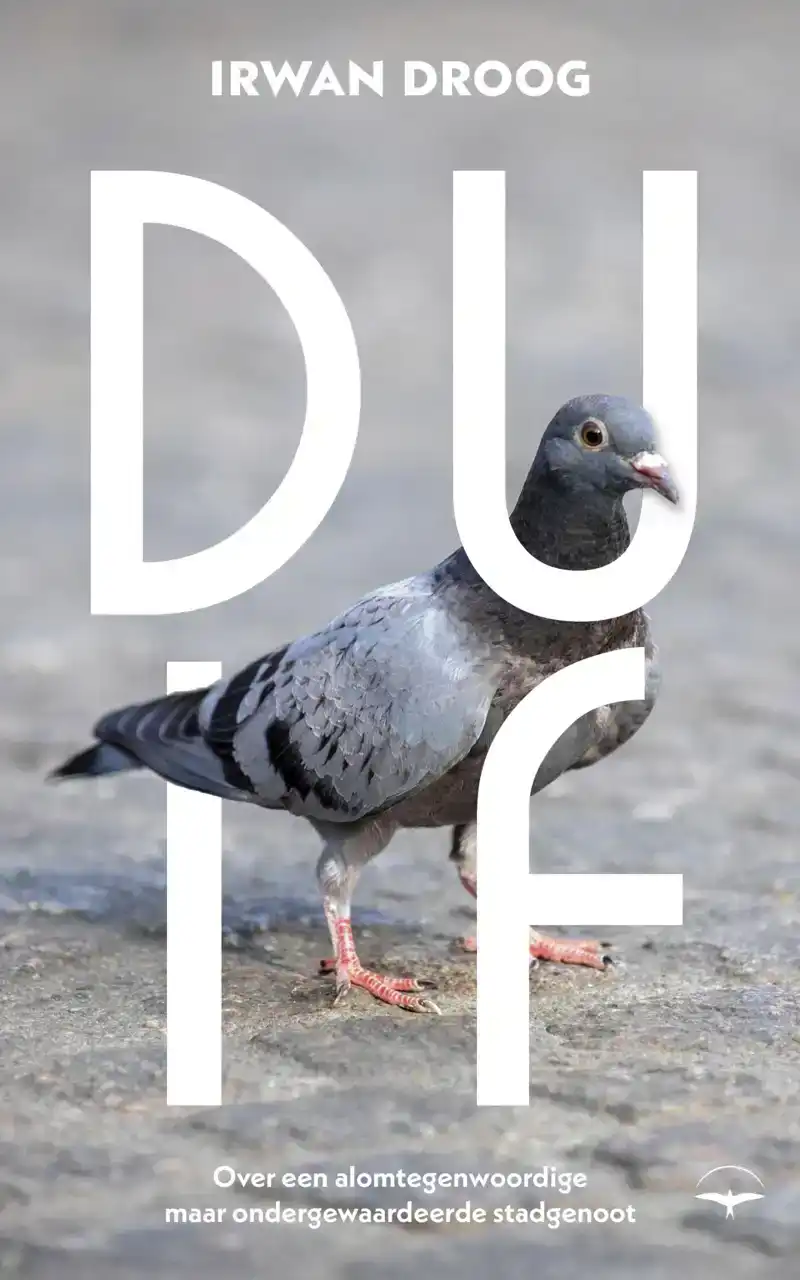 DUIF
