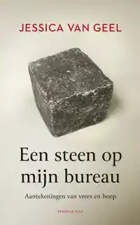 EEN STEEN OP MIJN BUREAU